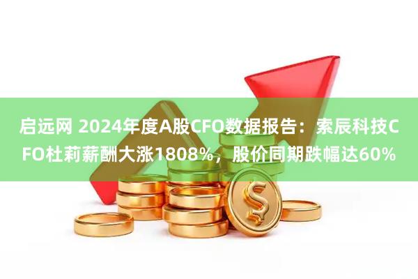 启远网 2024年度A股CFO数据报告：索辰科技CFO杜莉薪酬大涨1808%，股价同期跌幅达60%