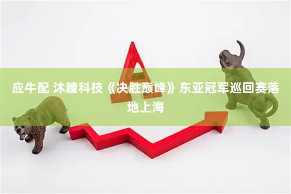 应牛配 沐瞳科技《决胜巅峰》东亚冠军巡回赛落地上海
