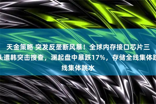 天金策略 突发反垄断风暴!全球内存接口芯片三巨头遭韩突击搜查,澜起盘中暴跌17%,存储全线集体跳水
